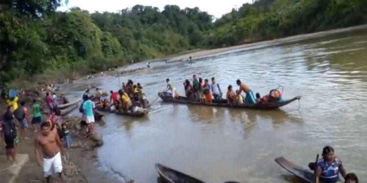 Alto Baudó es un campo de batalla entre el ELN y el Clan del Golfo