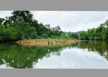 Administración de nuestros Recursos Naturales