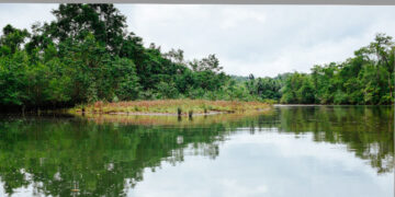Administración de nuestros Recursos Naturales