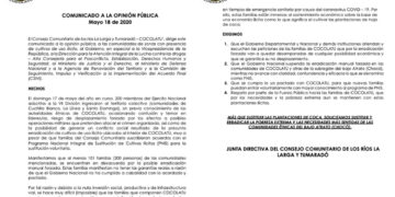 Consejo Comunitario de Riosucio pide suspender la erradicación de coca