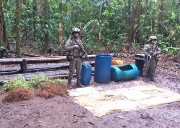 Destruyen depósito y laboratorio del ELN en Bajo Baudó