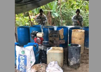 Destruyen laboratorio de coca en Litoral de San Juan