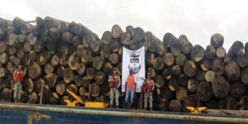 Bajo Baudó: incautan gigantesco cargamento de madera