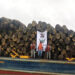 Bajo Baudó: incautan gigantesco cargamento de madera