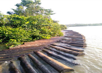 Grupo élite combatirá deforestación en el Pacífico