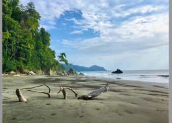 Playa Brava, Arusí, Nuquí, Chocó