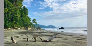 Playa Brava, Arusí, Nuquí, Chocó