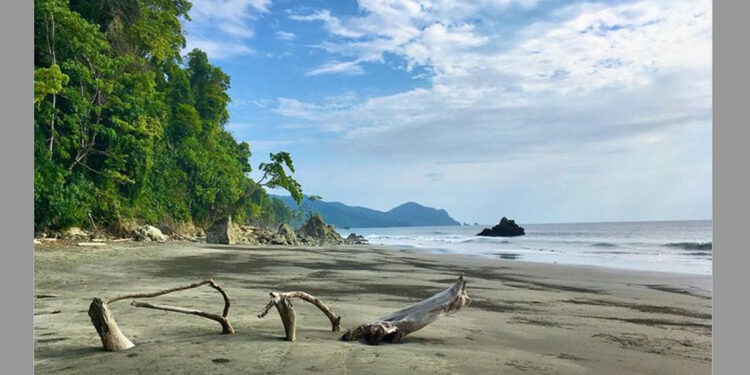 Playa Brava, Arusí, Nuquí, Chocó