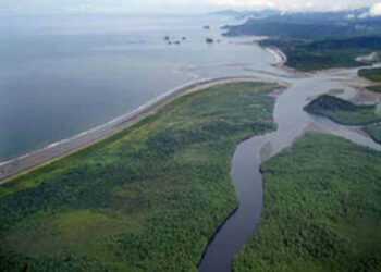 Codechocó: «El puerto de Tribugá no es compatible con el área protegida»