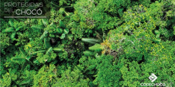 Áreas Protegidas del Chocó