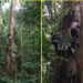 Monitoreo del bosque tropical del Chocó
