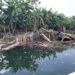 Imagen lúgubre de una gigantesca malversación de recursos en el Chocó