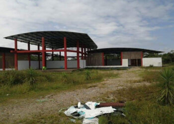 Denuncian irregularidades en dos contratos por $ 38.549 millones sobre repoblamiento forestal y Centro Tecnológico de Madera