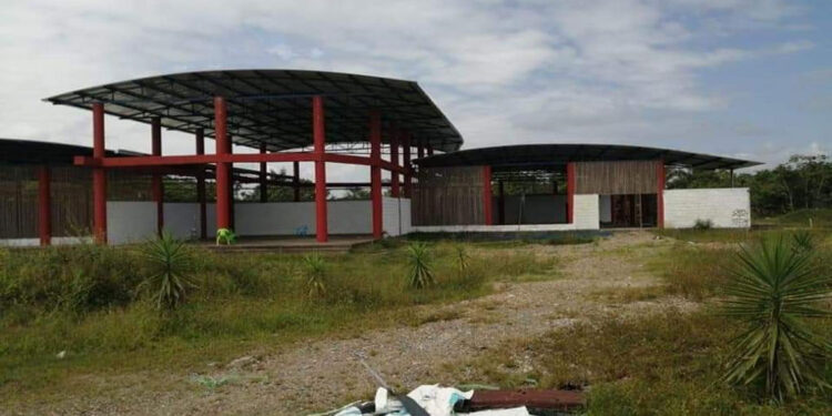 Denuncian irregularidades en dos contratos por $ 38.549 millones sobre repoblamiento forestal y Centro Tecnológico de Madera