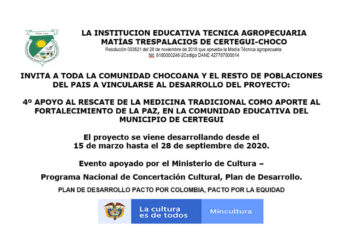Rescate de la medicina tradicional