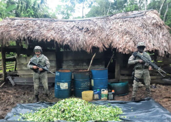 Destruyen tres laboratorios de coca en Bajo Baudó