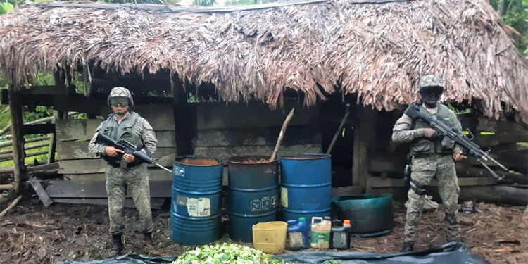 Destruyen tres laboratorios de coca en Bajo Baudó