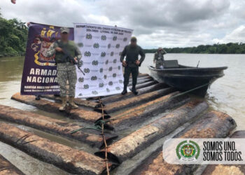 Incautan 600 trozas de madera en Docordó