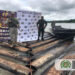 Incautan 600 trozas de madera en Docordó