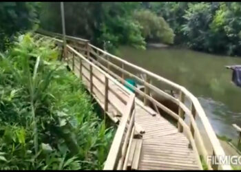 Sendero ecoturístico en Tutunendo. Video