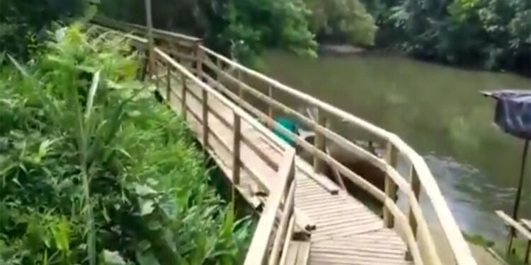 Sendero ecoturístico en Tutunendo. Video