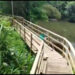 Sendero ecoturístico en Tutunendo. Video