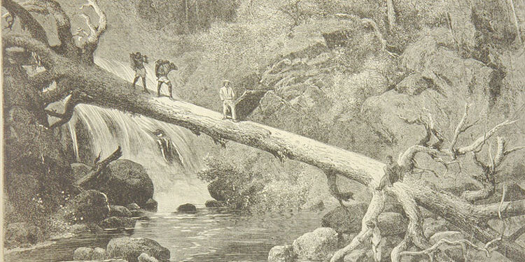 Camino a Acantí (Acandí). 1877