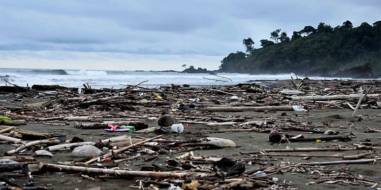 Plásticos de Japón, EE.UU. y otros países están llegando a playas del Pacífico colombiano