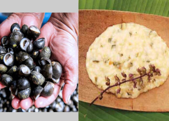 Atollado de churulejas, plato típico de la costa Pacífica chocoana