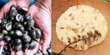 Atollado de churulejas, plato típico de la costa Pacífica chocoana