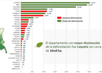 Deforestación: reducción en Colombia pero con aumento en el Chocó