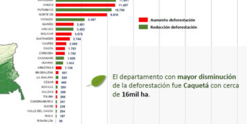 Deforestación: reducción en Colombia pero con aumento en el Chocó