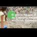 El precio del oro: el costo de la minería mecanizada en Chocó