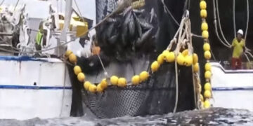 Consejo de Estado protege a pescadores artesanales del Chocó