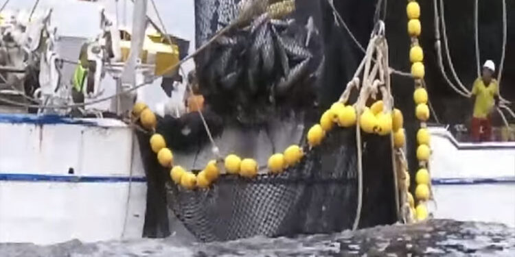 Consejo de Estado protege a pescadores artesanales del Chocó