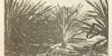 Pantanos del Atrato, 1877.