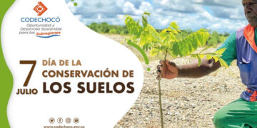Se restauran 813 hectáreas degradadas con 891.029 árboles en Nóvita, Condoto y Cantón de San Pablo