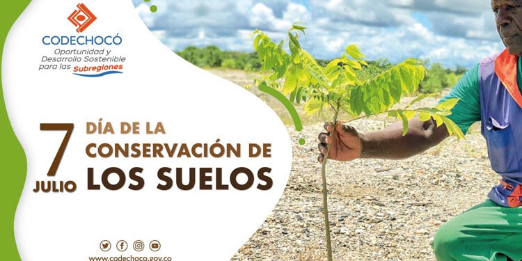 Se restauran 813 hectáreas degradadas con 891.029 árboles en Nóvita, Condoto y Cantón de San Pablo