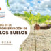 Se restauran 813 hectáreas degradadas con 891.029 árboles en Nóvita, Condoto y Cantón de San Pablo