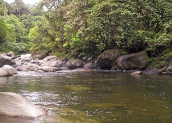 Opogodoseña murió ahogada en el río Sipí