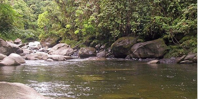 Opogodoseña murió ahogada en el río Sipí