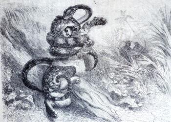 Viaje del médico francés Charles Saffray, 1861