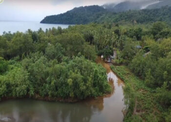 Consejos comunitarios de Bahía Solano ganaron premio ambiental por la preservación de bosques nativos