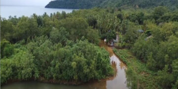 Consejos comunitarios de Bahía Solano ganaron premio ambiental por la preservación de bosques nativos