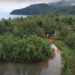 Consejos comunitarios de Bahía Solano ganaron premio ambiental por la preservación de bosques nativos