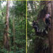Mesa Forestal del Chocó fue elegida en el Consejo Nacional Forestal