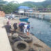 Limpieza submarina en Capurganá, Acandí