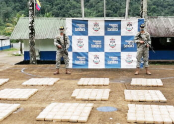 Incautan 700 kilos de coca en Punta Piña, Juradó