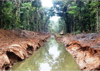 Multa de $ 405 millones de Codechocó a Maderas del Darién