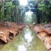 Multa de $ 405 millones de Codechocó a Maderas del Darién